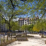 Genève veut planter 50'000 arbres en cinq ans (image d'illustration). KEYSTONE/MARTIAL TREZZINI